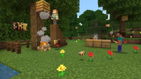 Minecraft - PS4
