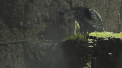 The Last Guardian - PS4