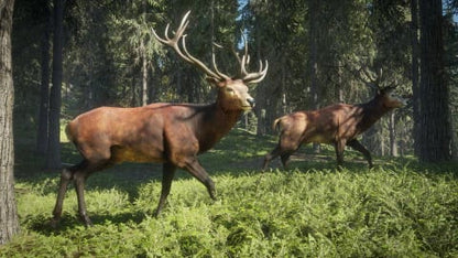 theHunter Call of the Wild - PS4